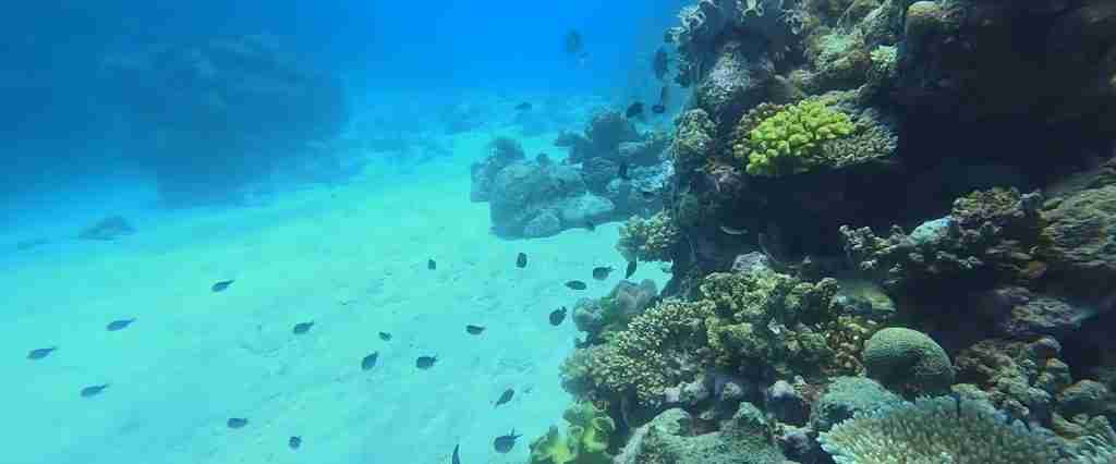 Great Barrier Reef 7-Day Cultural Journey