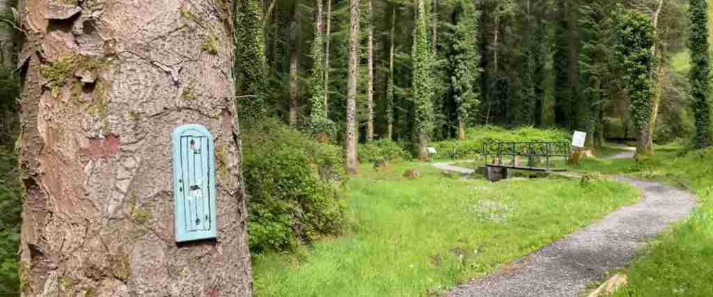 Killarney 10-Day Complete Adventure
