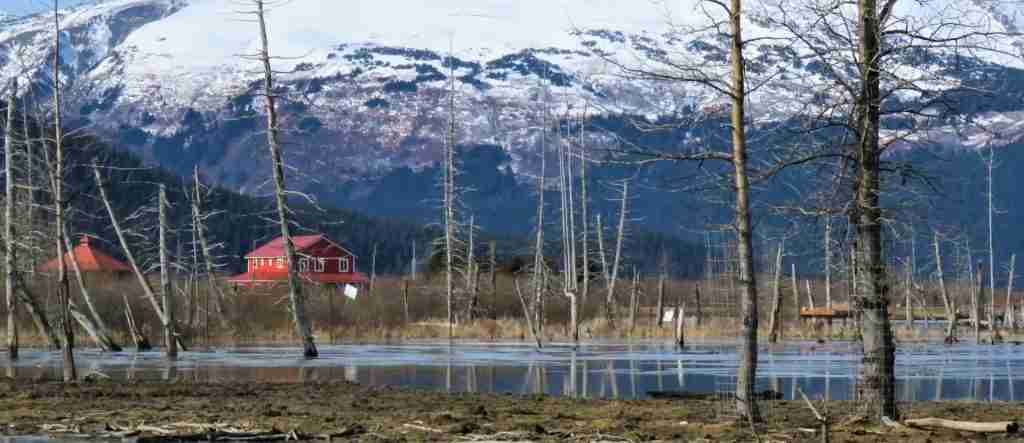 Anchorage 7-Day Cultural Journey