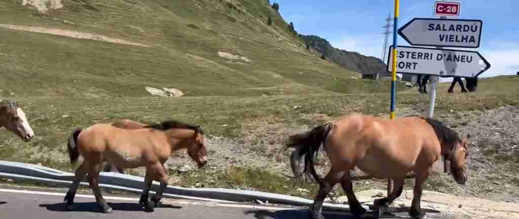 Andorra 5-Day Highlights Experience