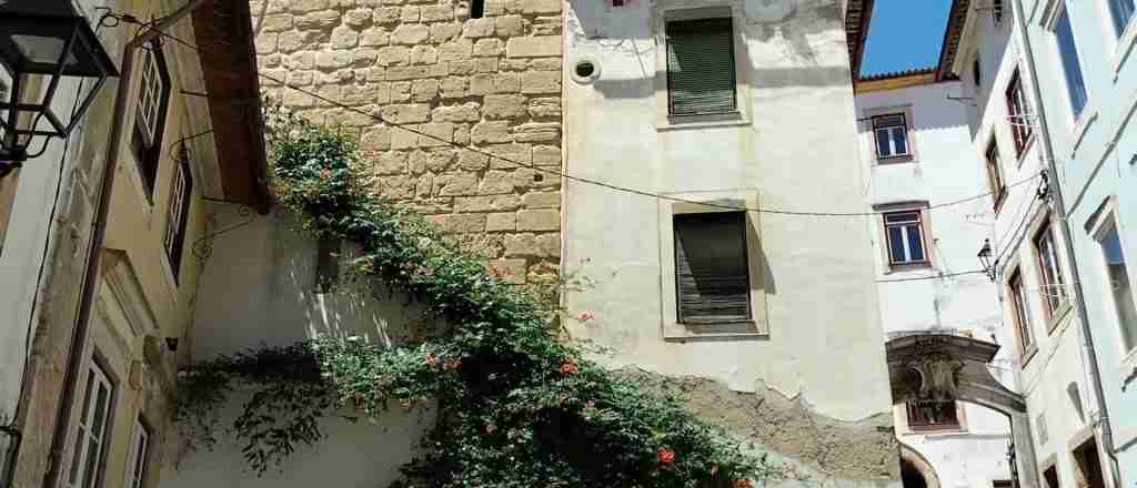 Coimbra 10-Day Complete Adventure