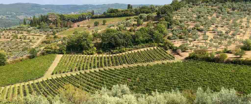 Arezzo 7-Day Cultural Journey
