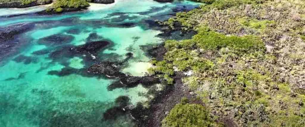 Galapagos Islands 5-Day Highlights Experience