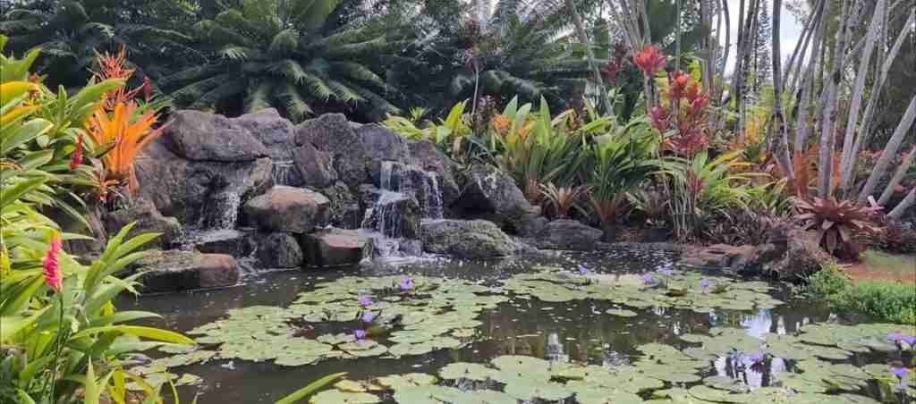Honolulu 7-Day Cultural Journey