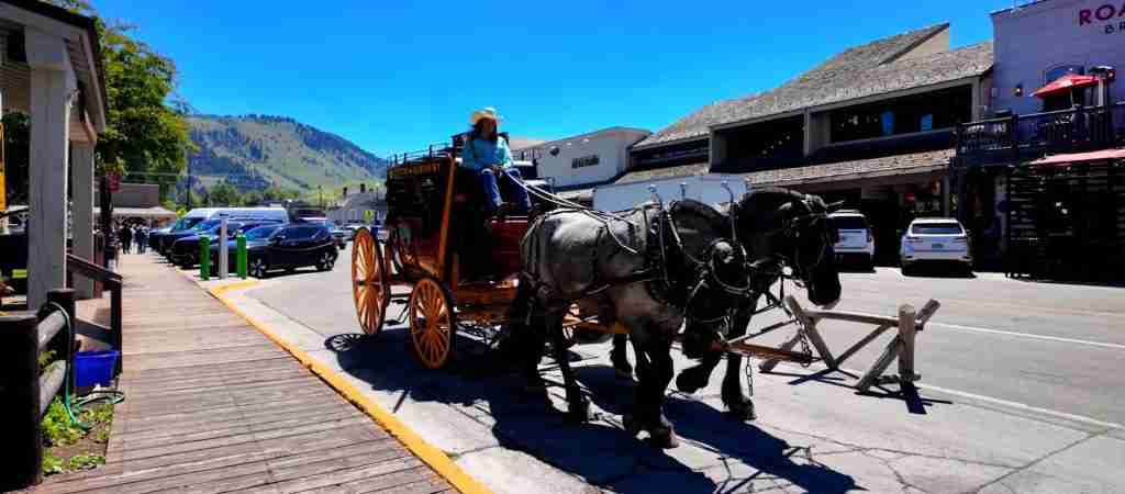 Park Yellowstone National Park 7-Day Cultural Journey