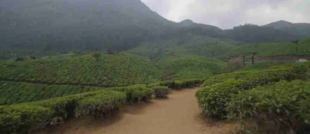 Kerala 10-Day Complete Adventure