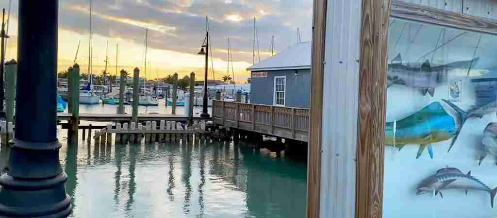 Florida 7-Day Cultural Journey