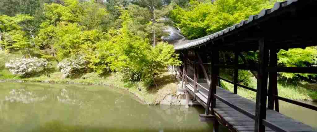 Japan 5-Day Highlights Experience