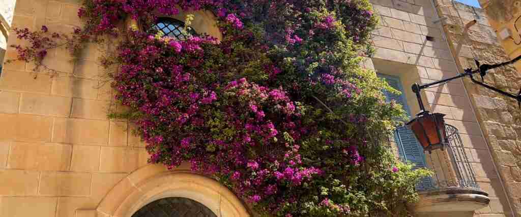 Malta 7-Day Cultural Journey