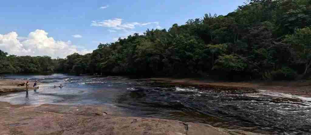Manaus 5-Day Highlights Experience