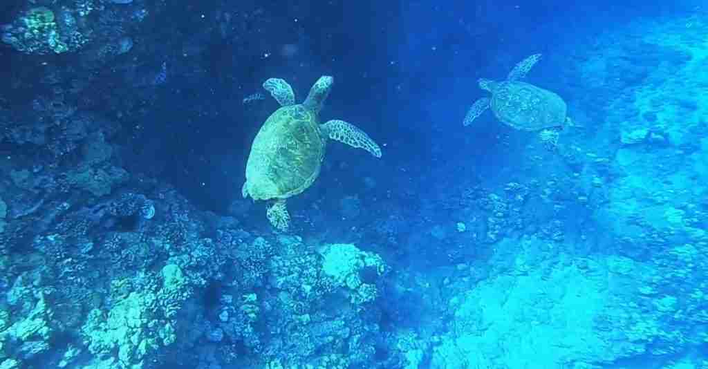Hawaii 3-Day Discovery Tour