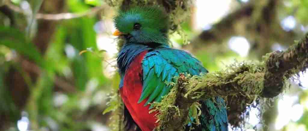 Costa Rica 10-Day Complete Adventure