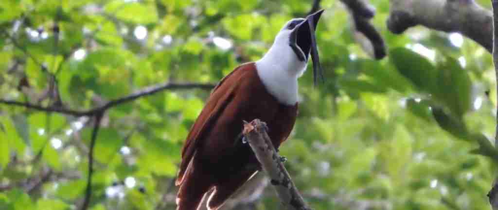 Costa Rica 7-Day Cultural Journey