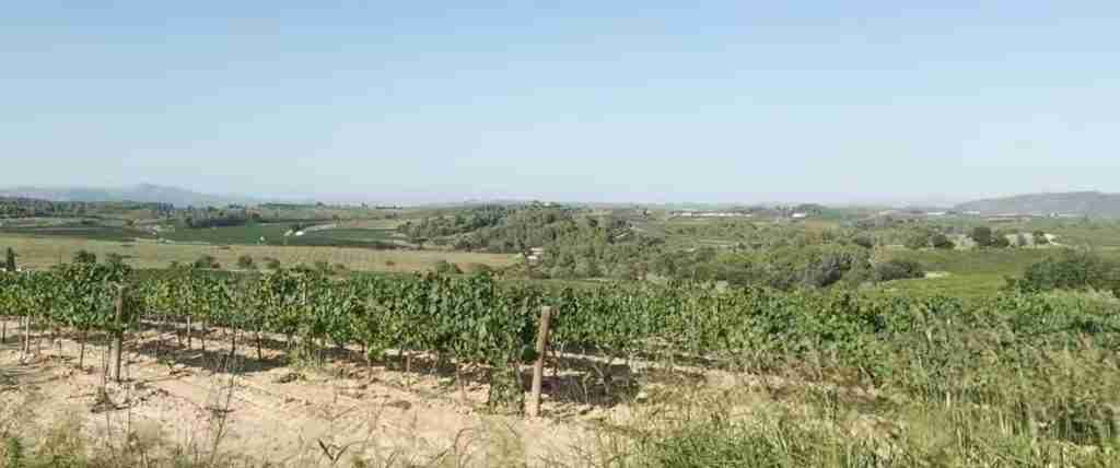 Barcelona 10-Day Complete Adventure