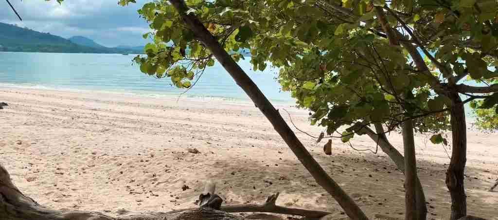 Northern Thailand 7-Day Cultural Journey