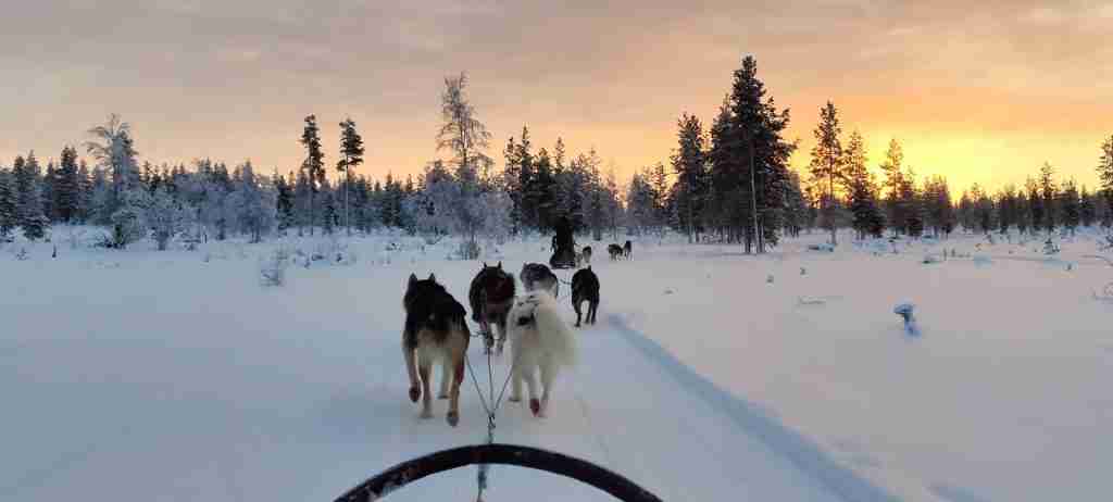 Finland 5-Day Highlights Experience