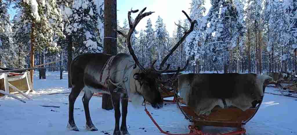 Finland 10-Day Complete Adventure