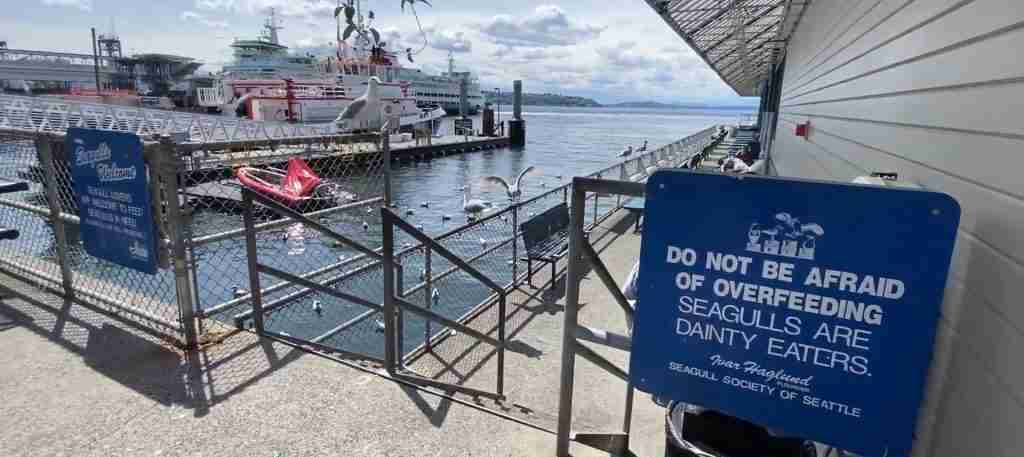 Seattle 7-Day Cultural Journey