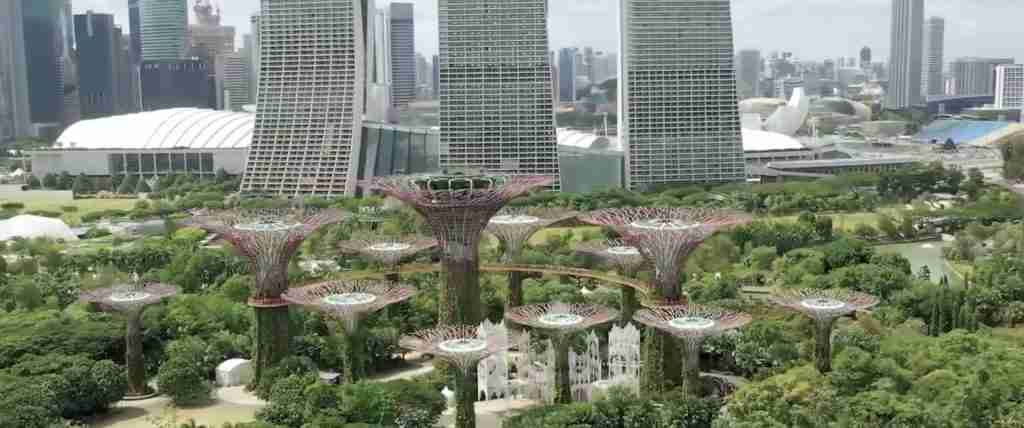 Singapore 7-Day Cultural Journey