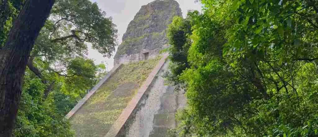 Tikal 5-Day Highlights Experience