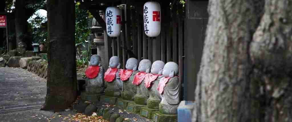 Tokyo 5-Day Highlights Experience