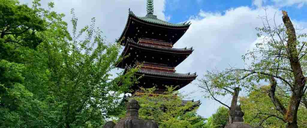 Tokyo 7-Day Cultural Journey