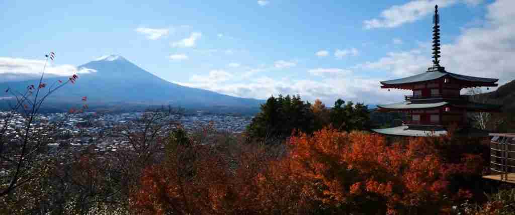 Tokyo 5-Day Highlights Experience
