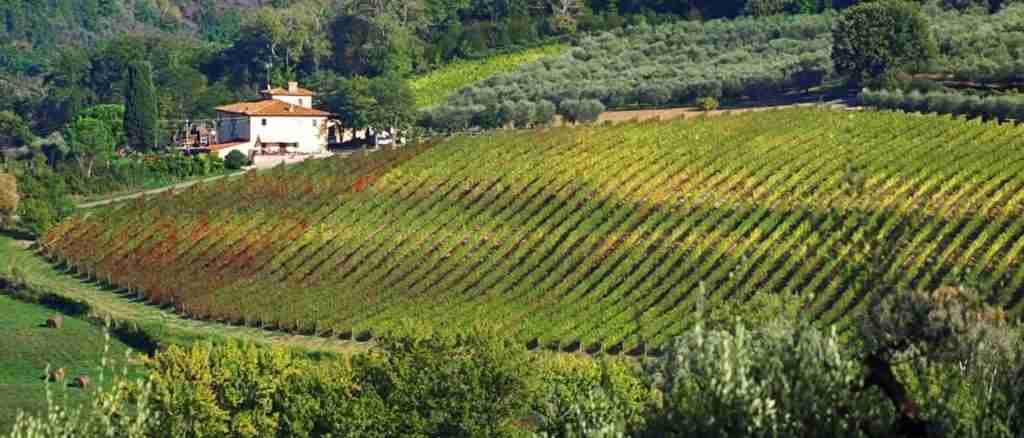 Florence 3-Day Discovery Tour