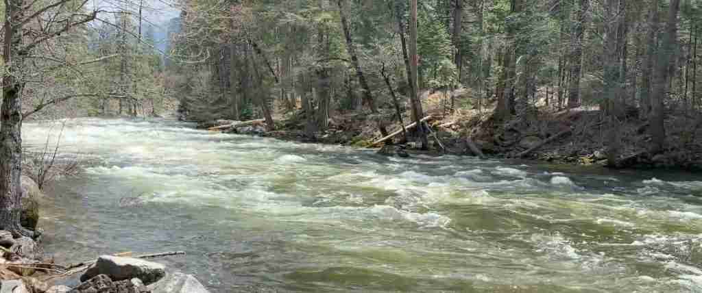 Park Yosemite National Park 5-Day Highlights Experience